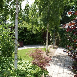 Gardens And Allotments