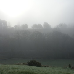 Mist And Fog