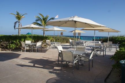 Cafes And Restaurants-1