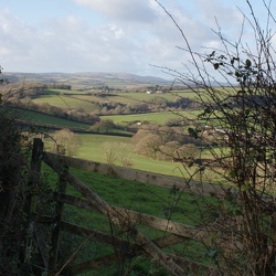 Fields
