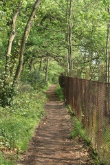 Footpath-1