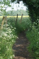 Footpath-4