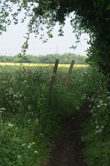 Footpath-5