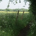 Footpath-5