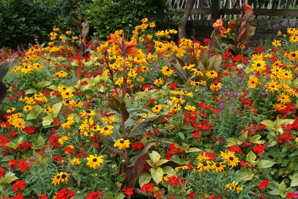 Flower Meadows-2