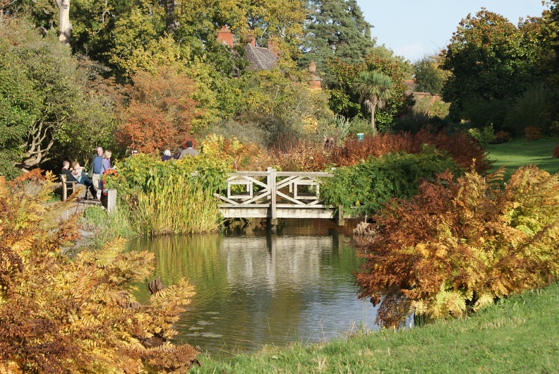 Gardens And Allotments-5