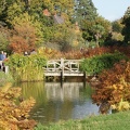 Gardens And Allotments-5