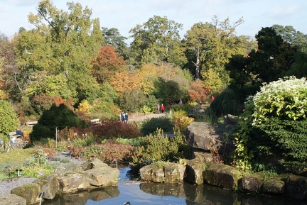Gardens And Allotments-6