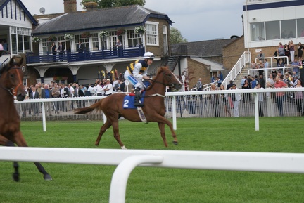Horseracing-11