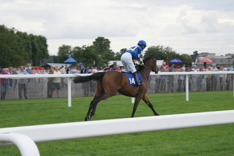 Horseracing-19.jpg