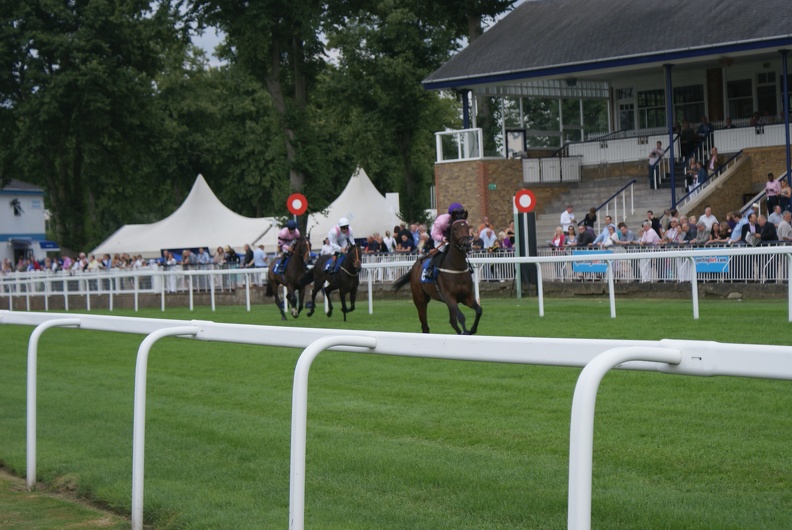 Horseracing-23.jpg