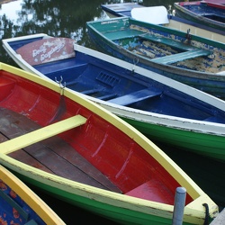 Rowing Boats