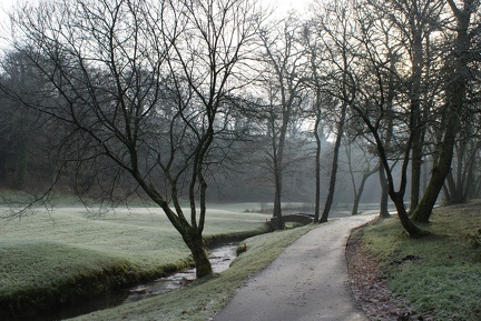 Winter Trees-17