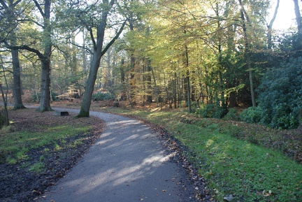 Autumn-100