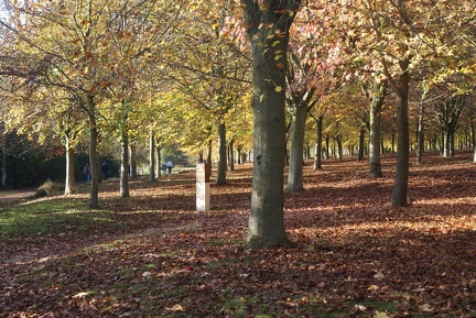 Autumn-136