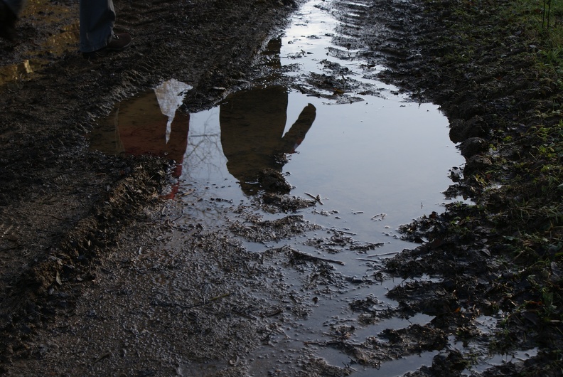 Puddles-2