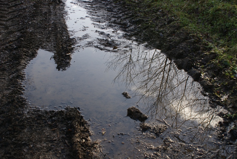Puddles-4