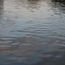 Ripples