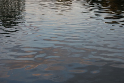 Ripples-1