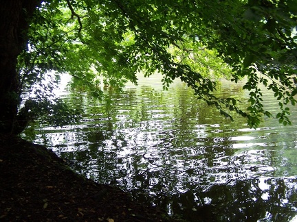 Ripples-10
