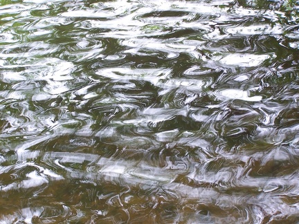 Ripples-14