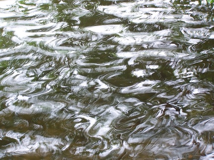 Ripples-15