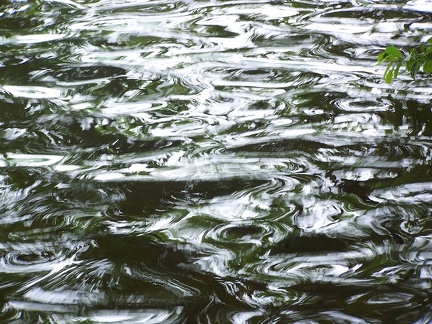 Ripples-16