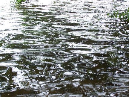 Ripples-17