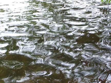 Ripples-18