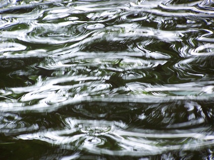 Ripples-19