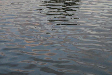 Ripples-3