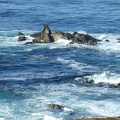 Sea-10