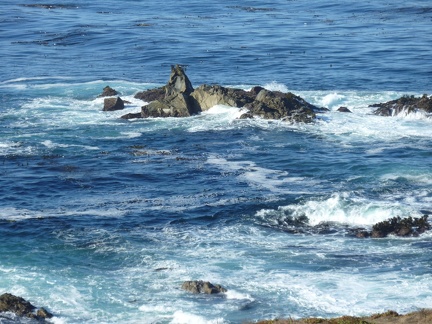 Sea-10