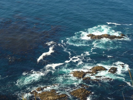 Sea-11