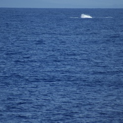 Sea And Waves