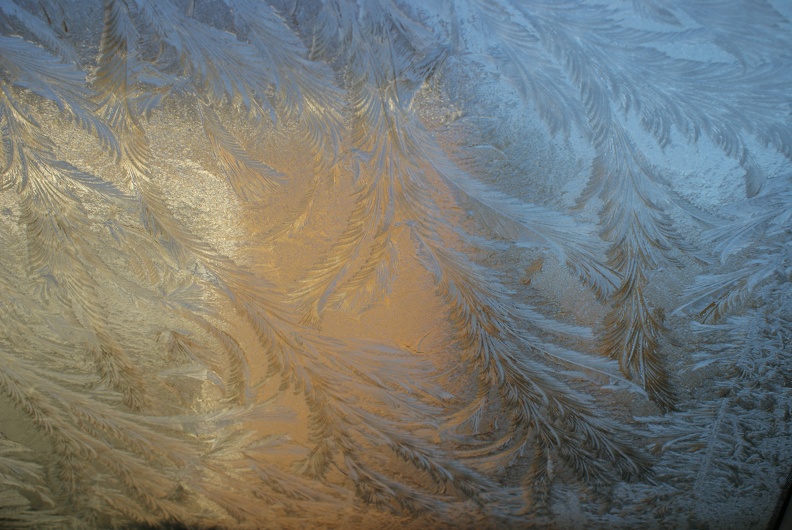 Frost_And_Ice-2.jpg
