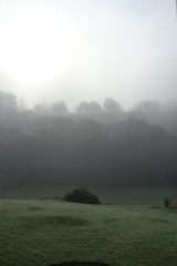 Mist And Fog-1