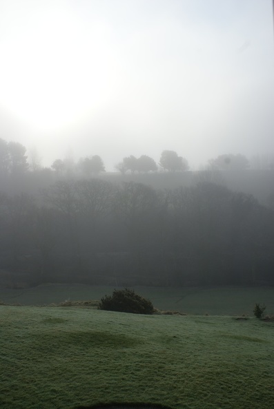 Mist_And_Fog-1.jpg
